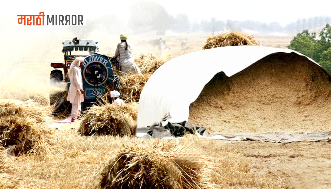 Why-Haryana-has-imposed-a-ban on-transportation-of-fodder